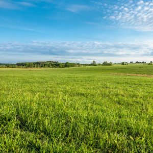 Áburður og sáðvörur