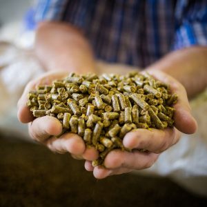 Fóður og bætiefni